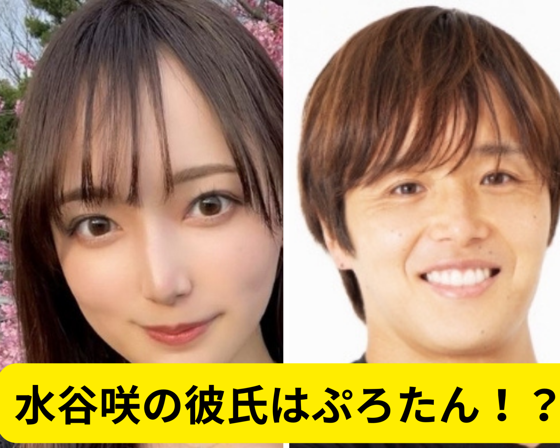 水谷咲の彼氏はぷろたん！？結婚の可能性を徹底調査！ | トレンドJAPAN